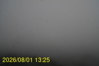Img20260801_132528.jpg