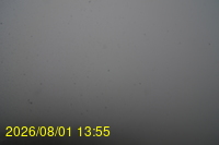 Img20260801_135528.jpg