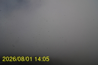 Img20260801_140528.jpg