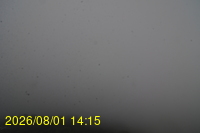 Img20260801_141528.jpg