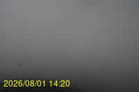 Img20260801_142028.jpg