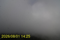Img20260801_142528.jpg