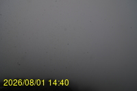 Img20260801_144028.jpg
