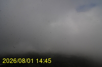 Img20260801_144528.jpg