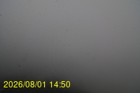 Img20260801_145028.jpg