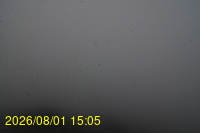 Img20260801_150528.jpg