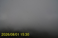 Img20260801_153029.jpg