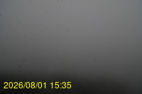 Img20260801_153529.jpg