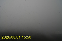 Img20260801_155029.jpg