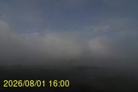 Img20260801_160029.jpg
