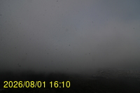 Img20260801_161029.jpg