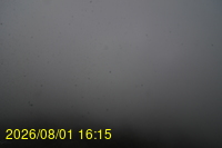 Img20260801_161529.jpg