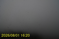 Img20260801_162029.jpg