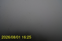 Img20260801_162529.jpg