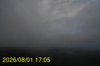Img20260801_170529.jpg
