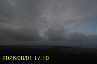 Img20260801_171029.jpg