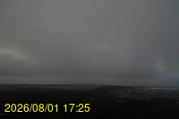 Img20260801_172529.jpg