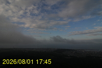 Img20260801_174529.jpg
