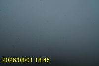 Img20260801_184529.jpg