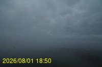 Img20260801_185029.jpg
