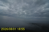 Img20260801_185529.jpg
