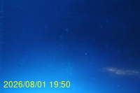 Img20260801_195029.jpg