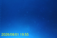 Img20260801_195529.jpg