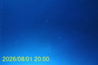 Img20260801_200029.jpg