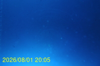 Img20260801_200529.jpg