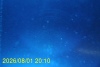 Img20260801_201029.jpg