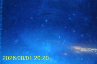 Img20260801_202029.jpg
