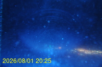 Img20260801_202530.jpg