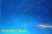 Img20260801_204530.jpg