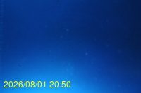Img20260801_205030.jpg
