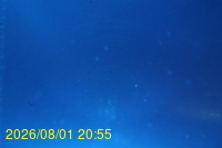 Img20260801_205530.jpg