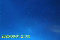 Img20260801_210030.jpg