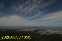Img20260803_134537.jpg