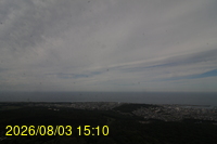 Img20260803_151037.jpg