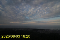 Img20260803_182038.jpg