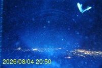 Img20260804_205042.jpg