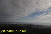 Img20260807_065052.jpg
