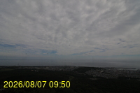 Img20260807_095053.jpg