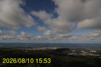 Img20260810_155328.jpg