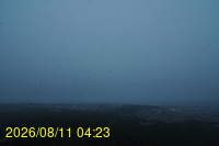 Img20260811_042331.jpg