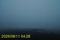 Img20260811_042831.jpg