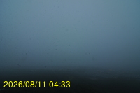 Img20260811_043331.jpg