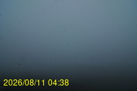 Img20260811_043831.jpg