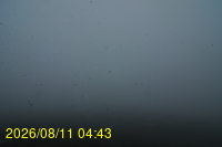 Img20260811_044331.jpg