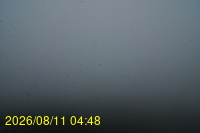 Img20260811_044831.jpg