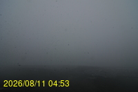 Img20260811_045331.jpg